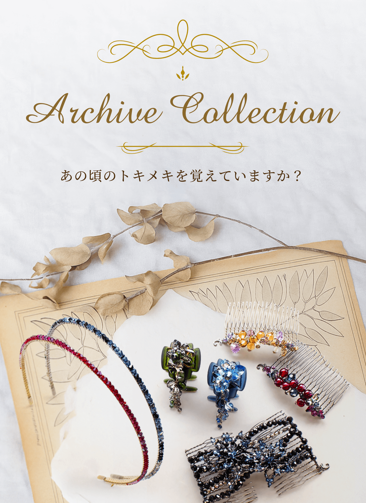 アーカイブコレクション