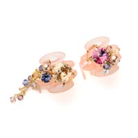 レディアリーシャイン ホイップクリップ2個セット (ローズミックス)