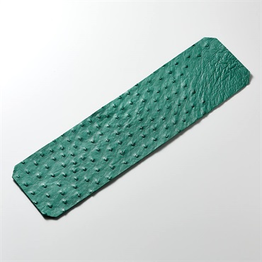 ROIS ROIA オーストリッチスマホカバー (ガーデン・グリーン) Type-D