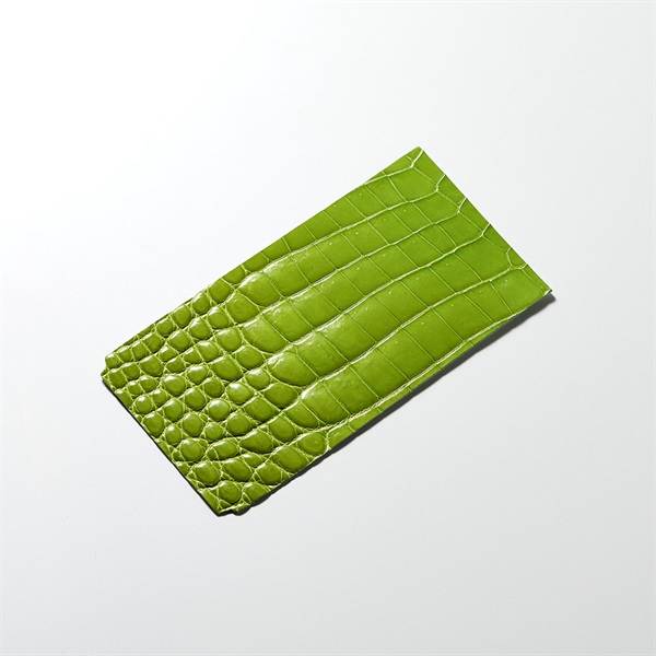 ROIS ROIA クロコダイルスマホカバー (スプリング・ペリドット) Type-A